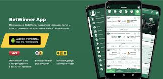 Experience the Thrill of BetWinner Online Bet